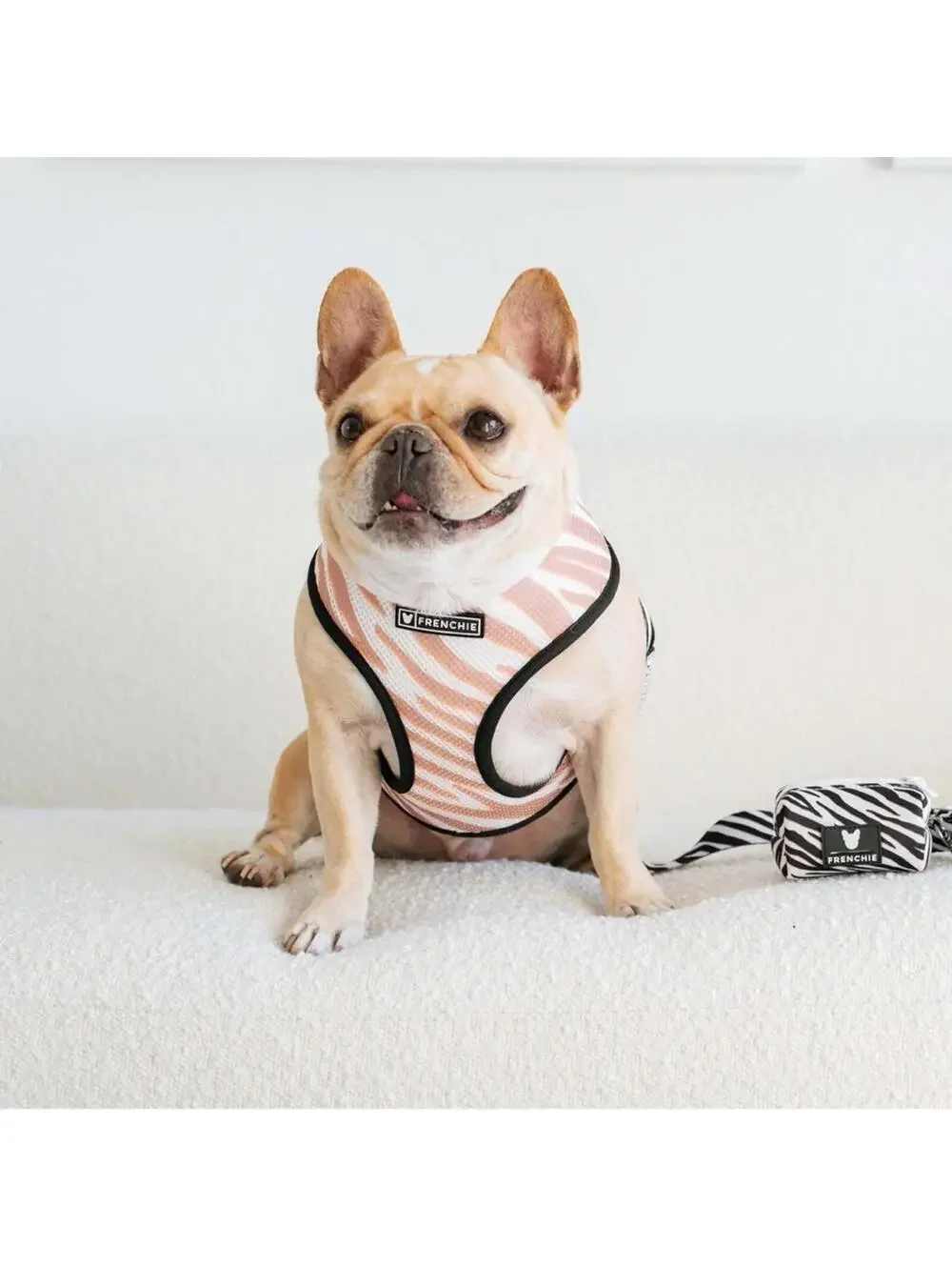 Frenchie Bulldog Duo Reversable Zebra Dog Harness/Leash/Bag Holder/Collar Set